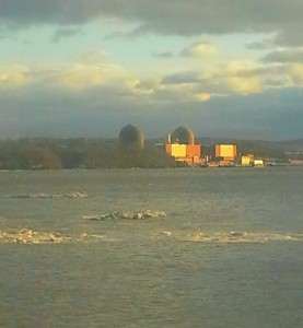 Indian Point nuke plant. Photo credit: David Carter