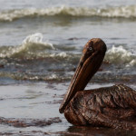 BP made quite a mess in the Gulf of Mexico