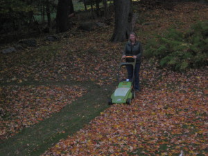 Mow your leaves instead of blowing them.